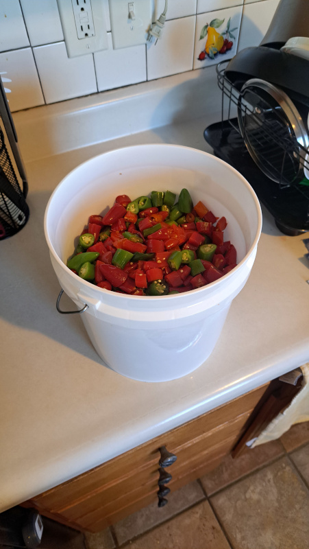 The pepper haul from the garden this year!