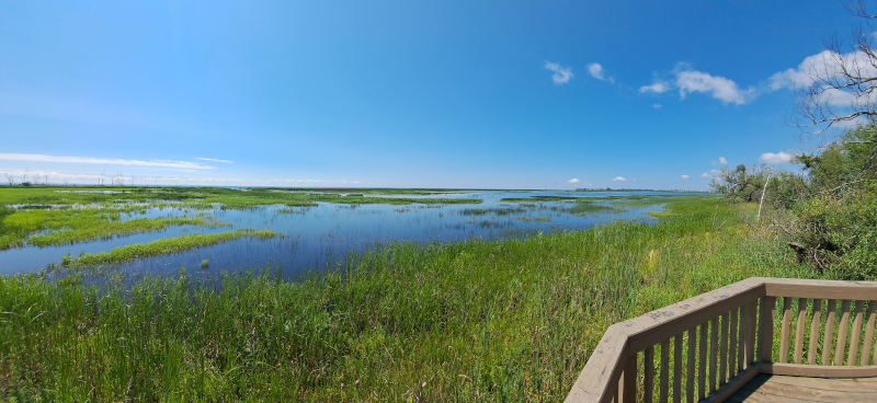 Some of the nearby wetlands in northern Wisconsin.